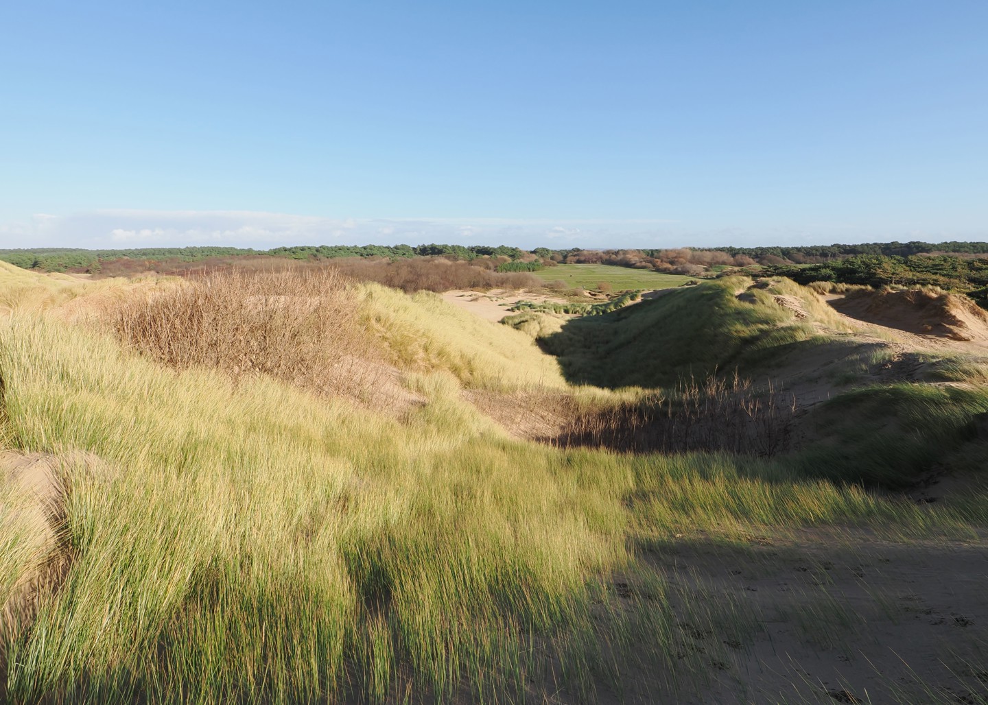 Duinen Met Schaduw