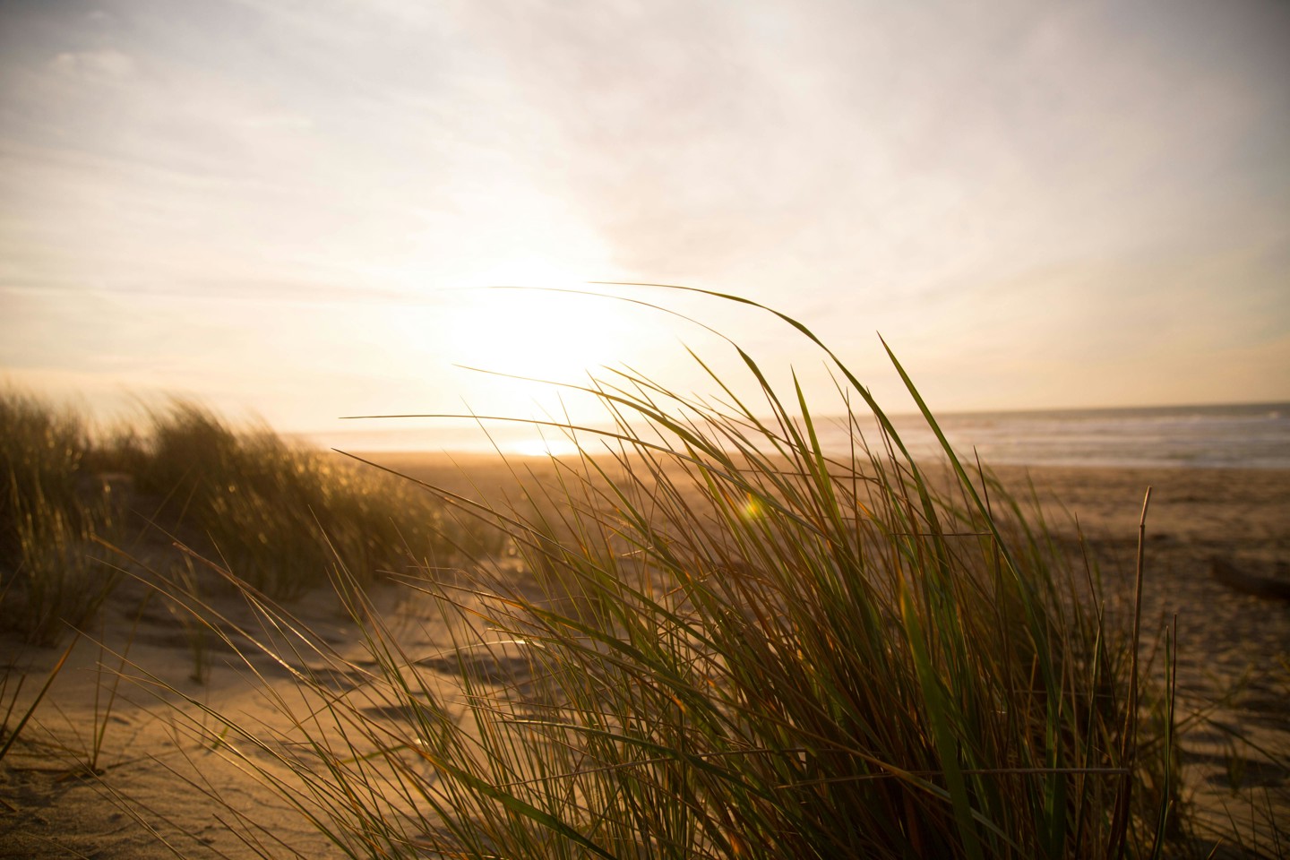Duinen Met Zonsondergang