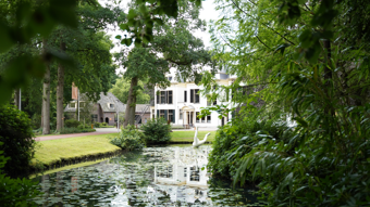 Locatie 3B Bos