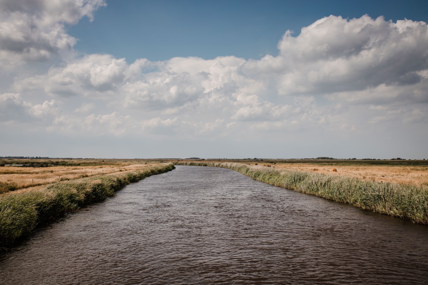 Uitzicht Over Water