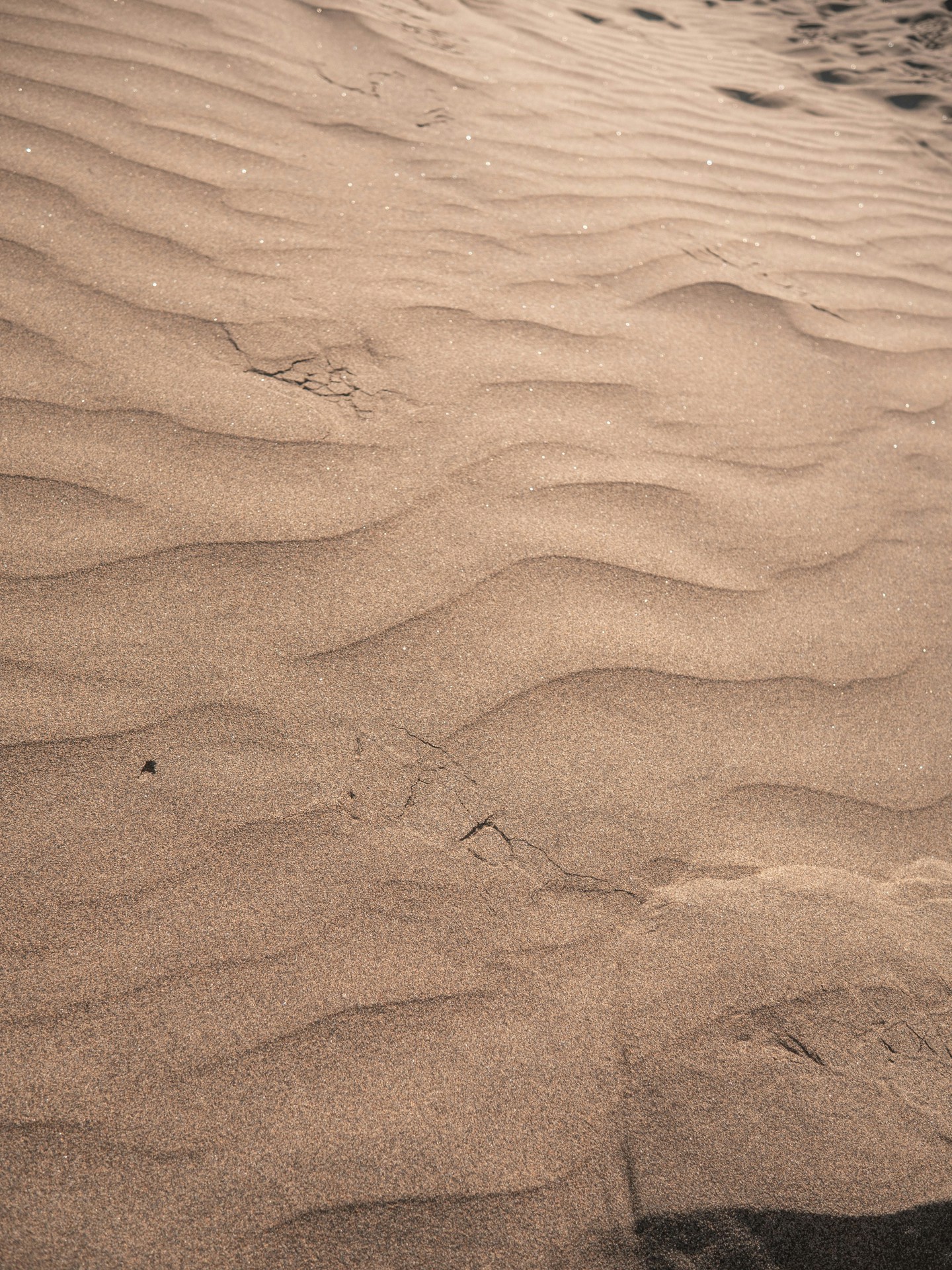 Zand